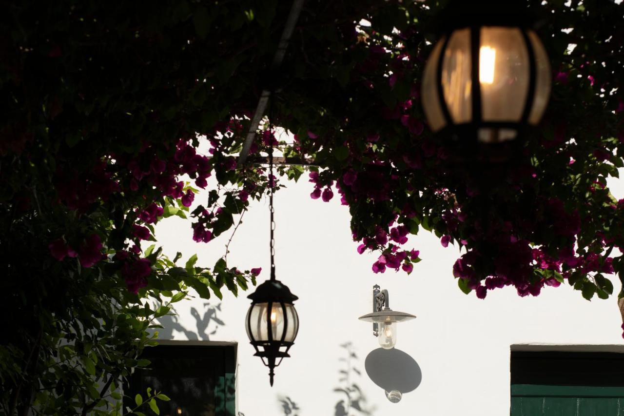 Don Alfonso Dimora D'Epoca Bed & Breakfast Racale Eksteriør bilde
